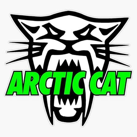 Arctic cat